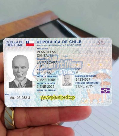 Chile Verificando