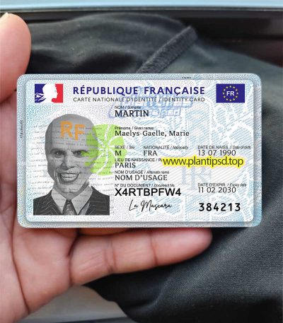 Francia Verificando