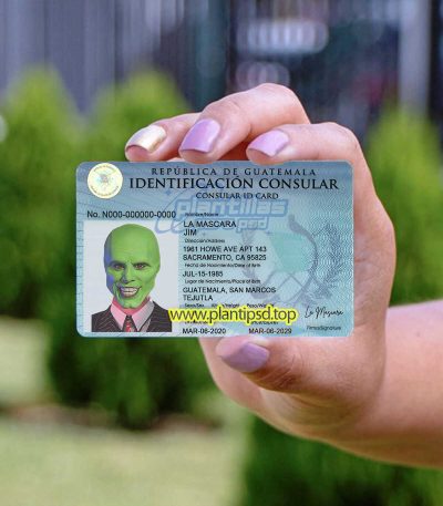 Guatemala Verificando