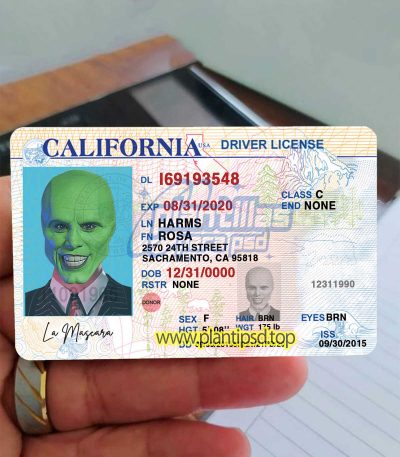 Verificando California