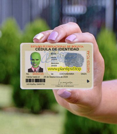 Bolivia Verificar