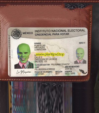Mexico Verificando