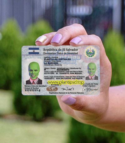 Verificando Salvador